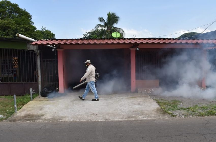  Equipo de vectores baja nivel de infestación, mientras siguen operativos contra el dengue