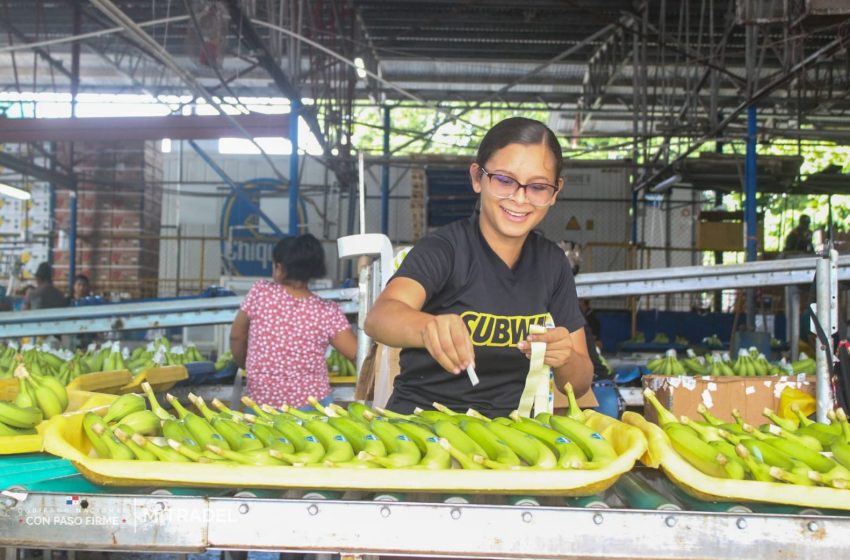  En Bocas del Toro: Trabajadores bananeros reciben bonos para la compra de alimentos