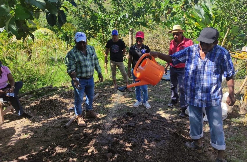  Pequeños productores de Olá se capacitan en abono orgánico