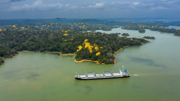  ¡Lamentable! Encuentran cuerpo de tripulante que cayó en el Lago Gatún