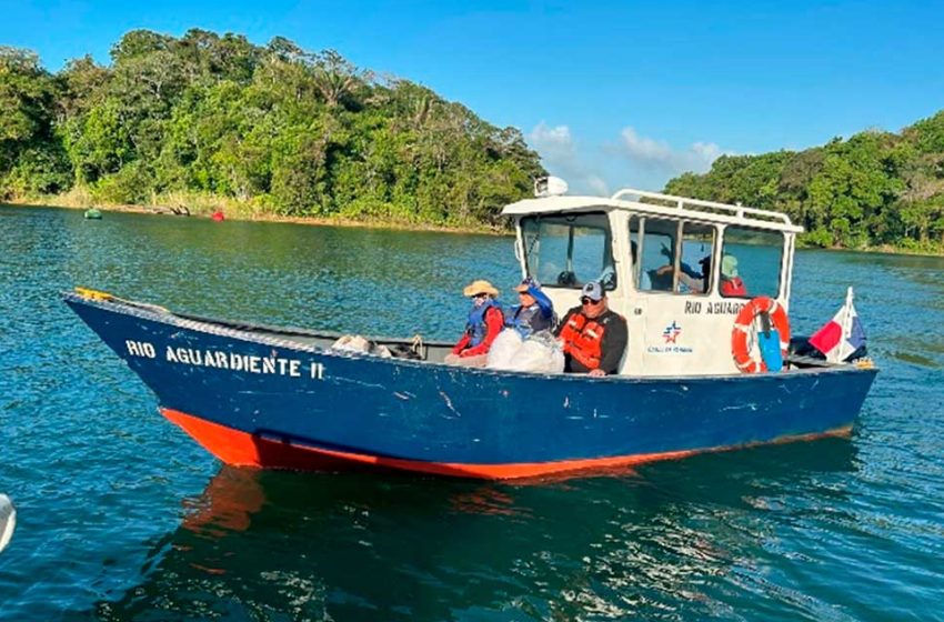  El embalse Gatún y sus visitantes marinos: un fenómeno estudiado