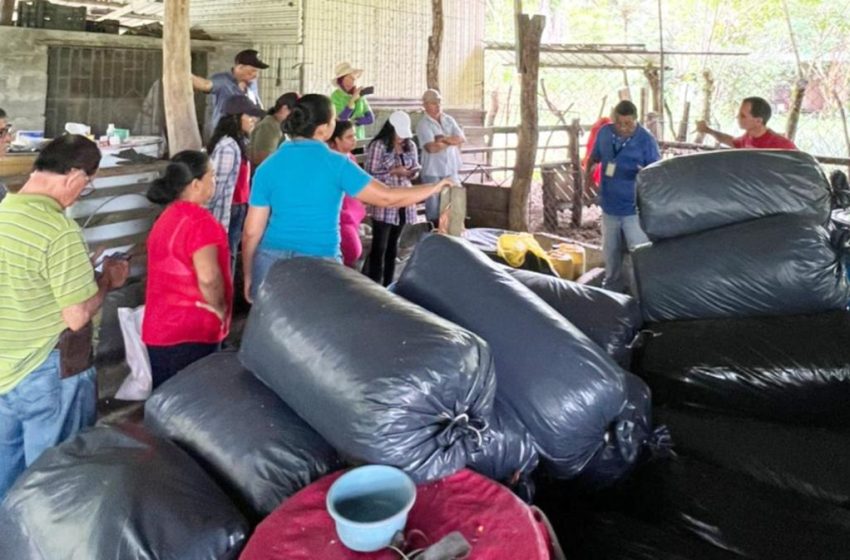  Autoridades agropecuarias coordina acciones estratégicas para fortalecer la ganadería en David