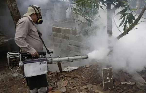  En Chiriquí: Autoridades de salud refuerzan acciones para prevenir el dengue