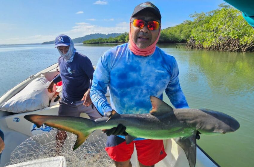  Coiba AIP inicia  proyecto para la conservación de estuarios en Panamá