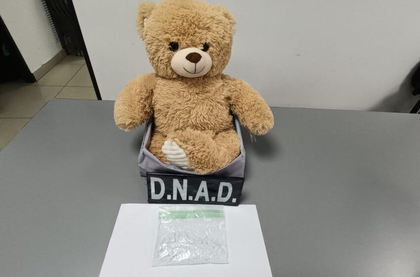  La Policía descubre presunta droga dentro de un oso de peluche