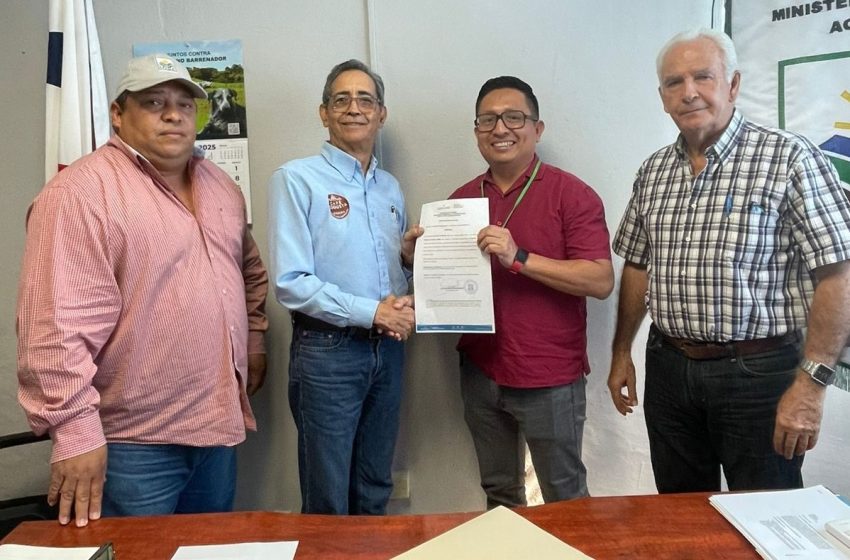  Café Rogusta Panamá recibe certificación agroindustrial