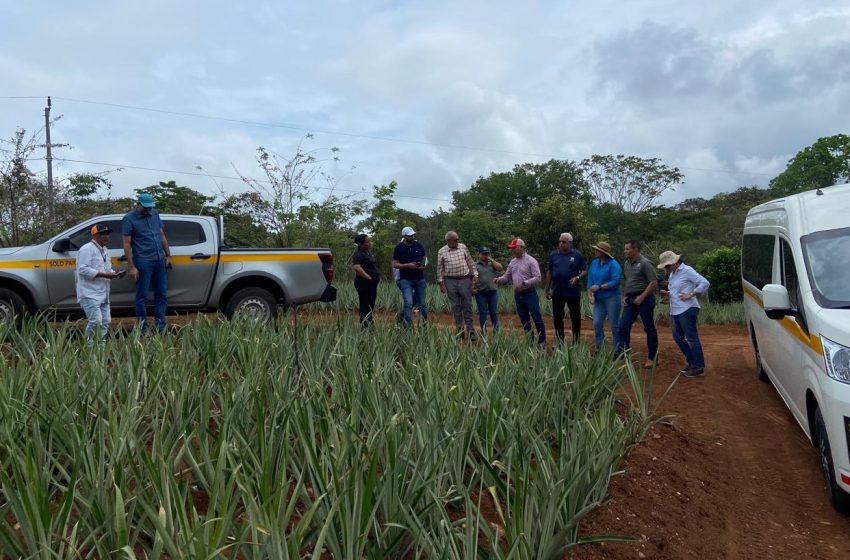  Panamá y Marruecos fortalecen cooperación en conocimiento de suelos y fertilizantes