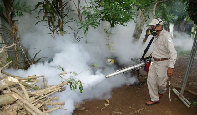  Intensifican acciones de prevención contra el dengue en Chitré