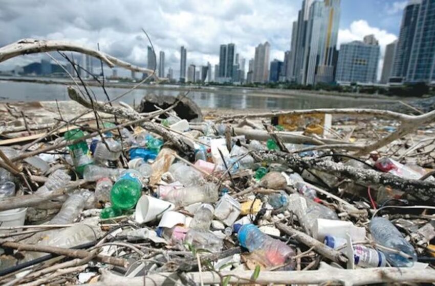  Marea Verde y The Ocean Cleanup lanzan el proyecto Siete Cuencas para combatir la contaminación plástica en la Bahía de Panamá