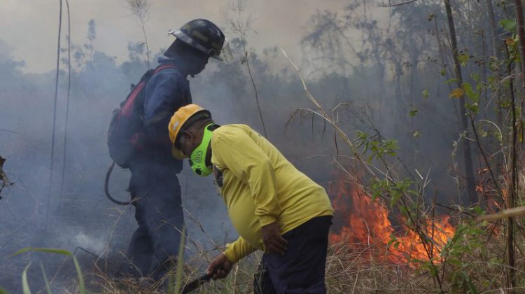  El cambio climático y su impacto en los incendios de masa vegetal