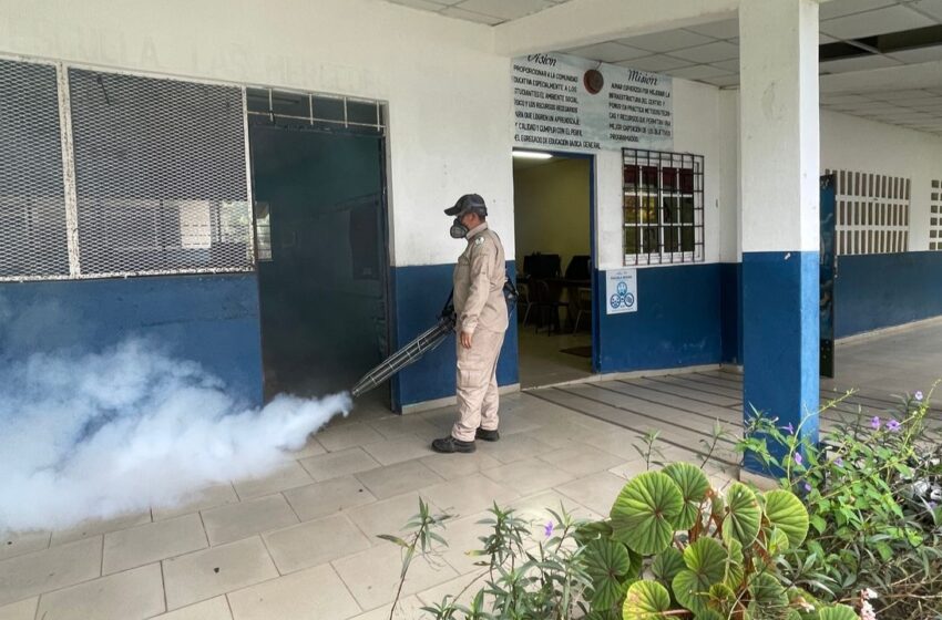  Minsa refuerza la prevención del dengue en Chiriquí