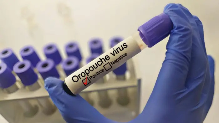  Minsa redobla estrategias para mitigar impacto del virus Oropouche