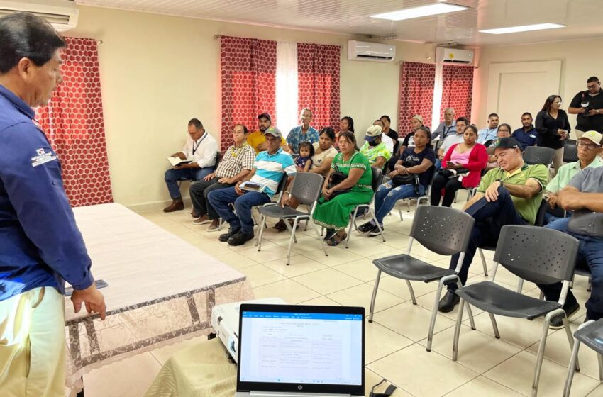 Productores chiricanos se preparan para enfrentar la variabilidad climática de los próximos meses