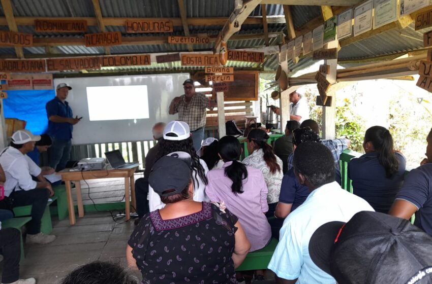 Productores darienitas participan en taller sobre ovino-caprino
