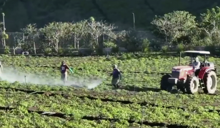 Gobierno anuncia pago de $110 millones a productores para saldar totalidad de deudas