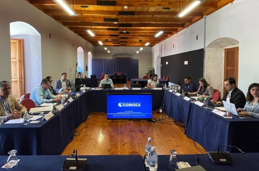 Panamá participa en taller regional para mejorar adquisición conjunta de insumos agrícolas