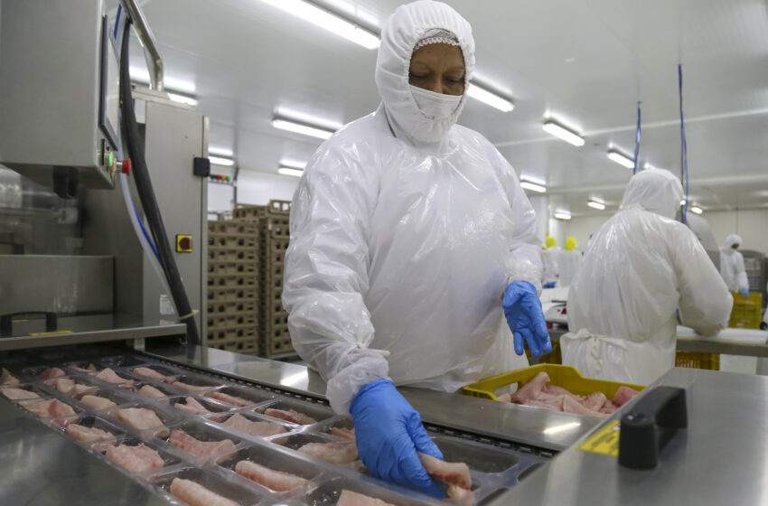 Panamá continúa ganando terreno con récord de exportaciones en el primer trimestre de 2025