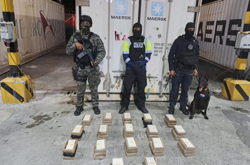 Más de 13 mil paquetes de droga decomisados por la Policía en lo que va del año