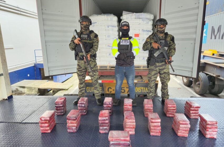 En operación portuaria antidrogas incautan más de 70 paquetes de sustancias ilícitas