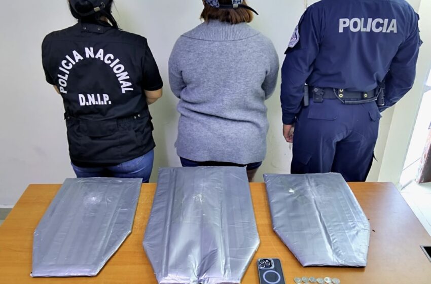 Más de 400 personas aprehendidas por diferentes delitos en todo el país