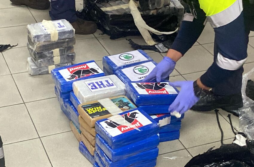 Tras operación Sansón incautan más de 900 paquetes con drogas