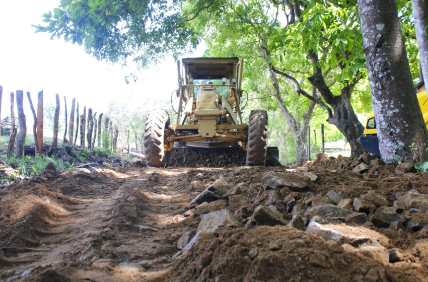 Rehabilitación de Caminos Rurales Impulsa la Producción en Los Santos