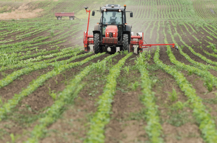 Panamá creará instituto técnico para formar profesionales en el sector agropecuario