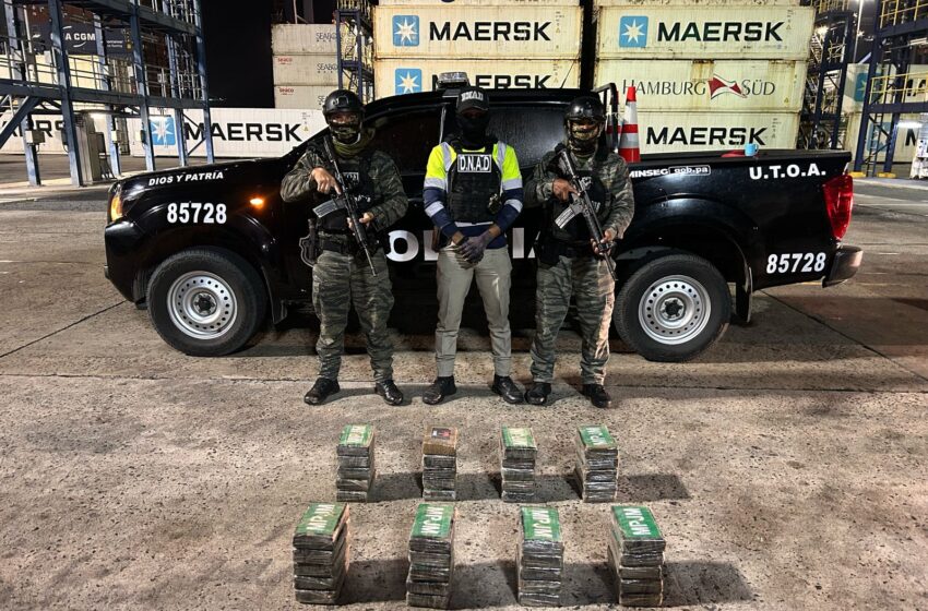 Tras operaciones antidrogas incautan 40 paquetes con droga