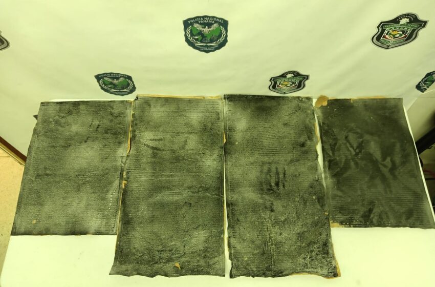 Presunta droga fue incautada en bodega de carga internacional