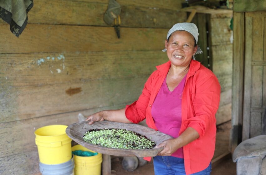 Mujeres rurales incursionan en proyectos sostenibles con la asistencia social del MIDES