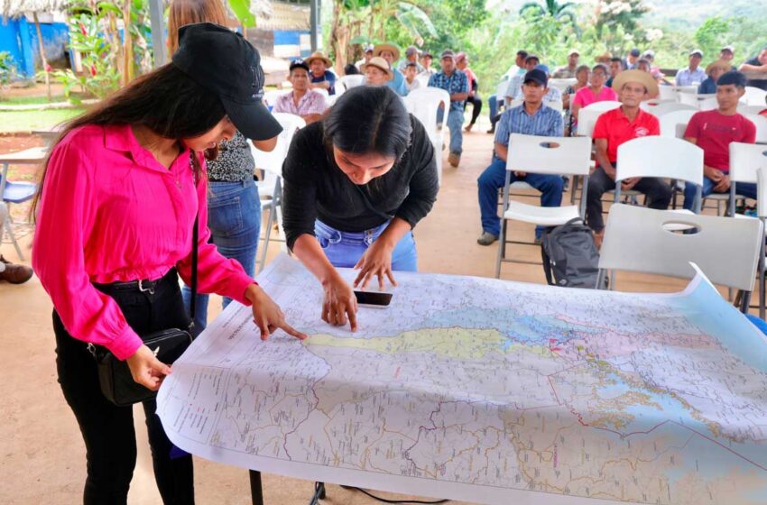 Censo socioeconómico en la cuenca de río Indio: Herramienta clave para el desarrollo de las familias en el área del proyecto