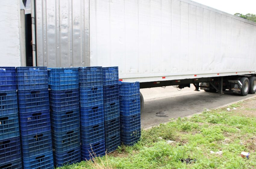 Minsa detecta irregularidades en transporte de productos cárnicos en San Miguelito