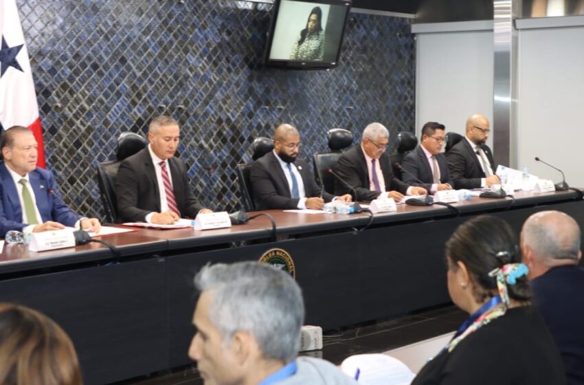Aprueban primer debate de proyecto 289 sobre intereses preferenciales