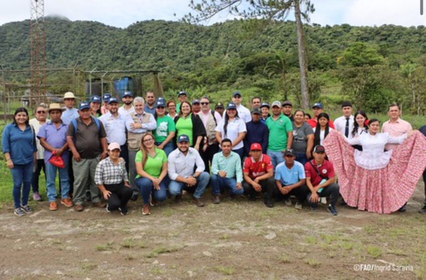 Productores implementan prácticas agropecuarias sostenibles y protegen la biodiversidad en la cuenca Santa María