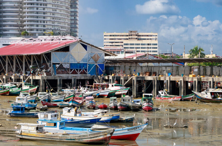 Panamá ratifica acuerdo mundial contra la pesca ilegal