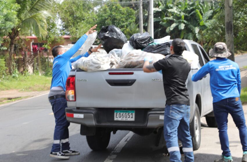  CochinosPTY” recorre Panamá Este