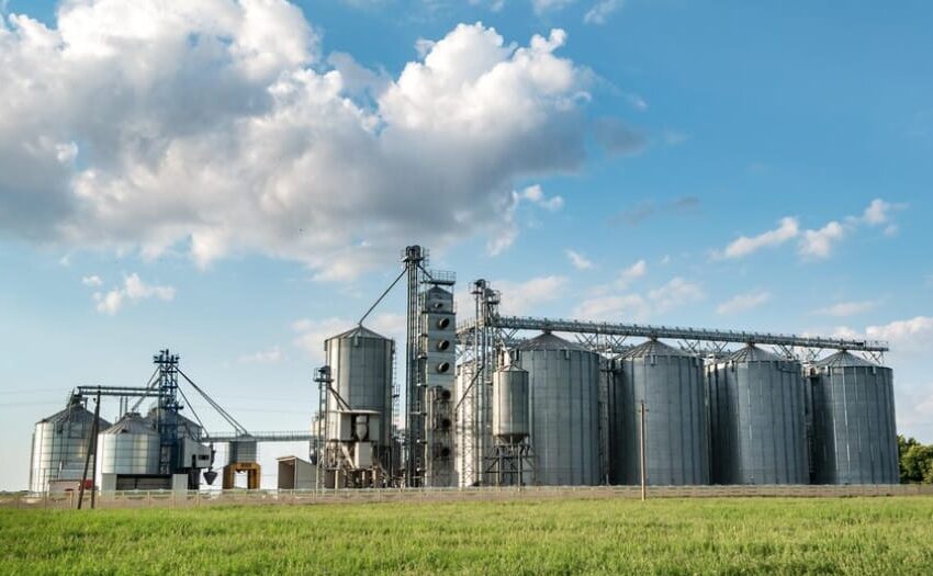  ANALMO: La seguridad alimentaria no puede depender de decisiones improvisadas