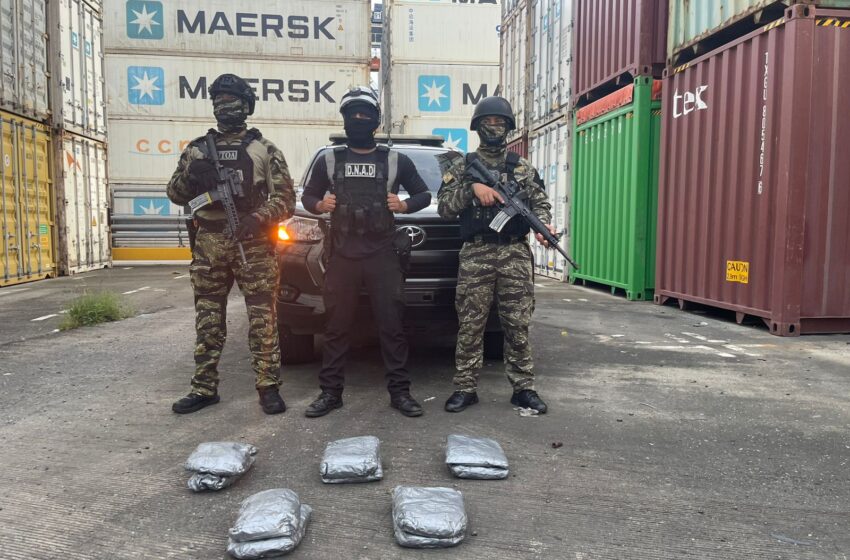 Tras allanamiento, la policía incauta 10 paquetes de presunta droga oculto en un contenedor