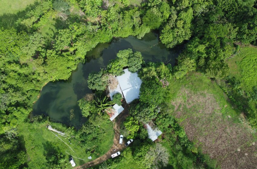 Suspenden operaciones de porquerizas por daño ambiental en el río La Villa