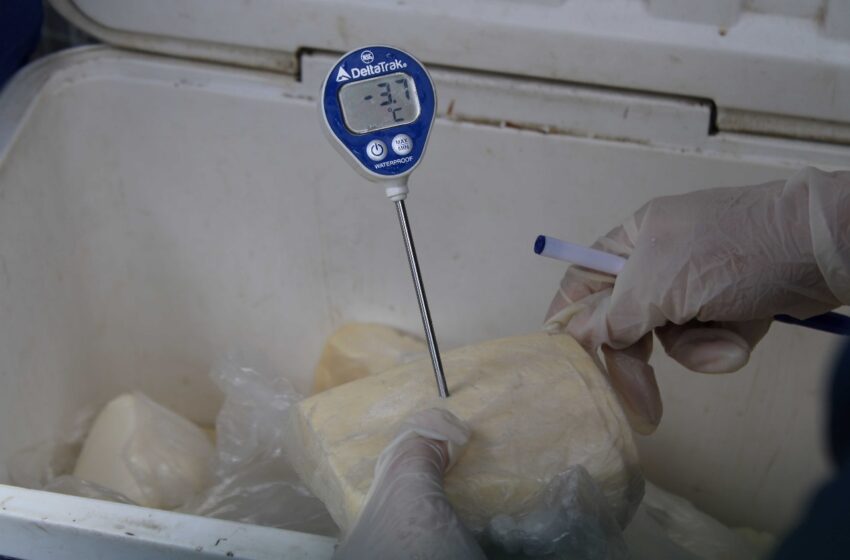 Minsa decomisa productos lácteos importados que no cumplen normativas sanitarias