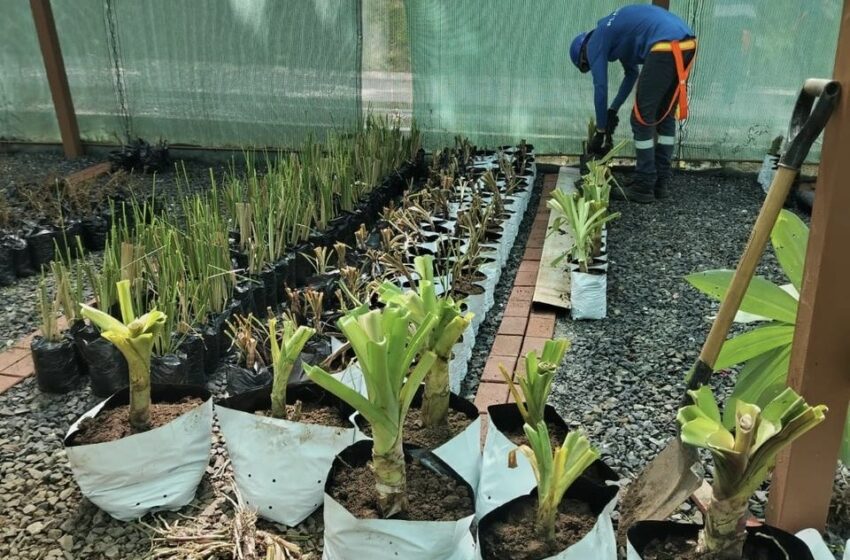 Privados de libertad recogen 4 toneladas de residuos en Parque Norte