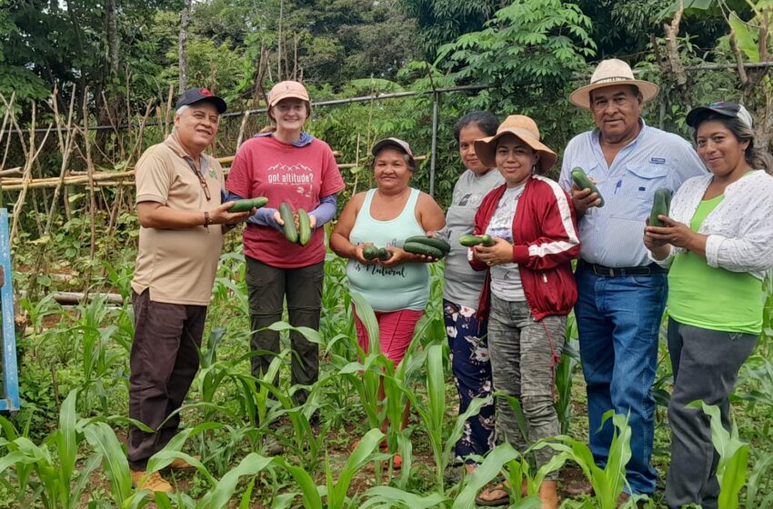  Mujeres productoras veragüenses reciben apoyo del MIDA para impulsar sus proyectos agrícolas