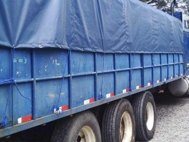  Aduana retiene camión por transporte irregular de madera en Chiriquí