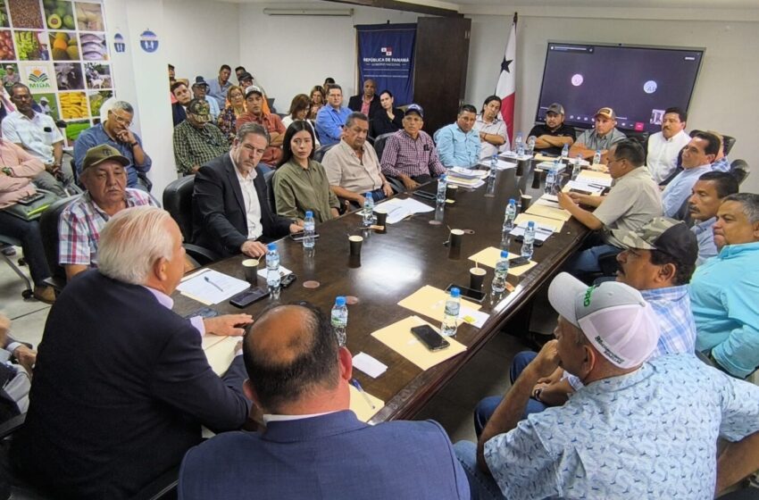 Gobierno reafirma su respaldo a los productores de arroz del país