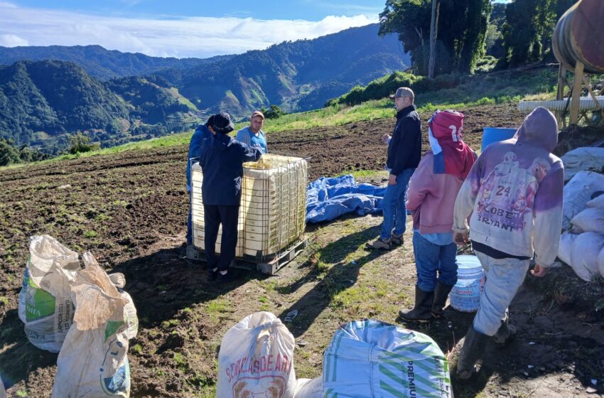 Instalan primera cama biológica de plaguicidas asistida por el MIDA en Tierras Altas