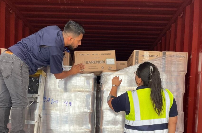 Refuerzan controles fitosanitarios en Colón para proteger la agricultura panameña