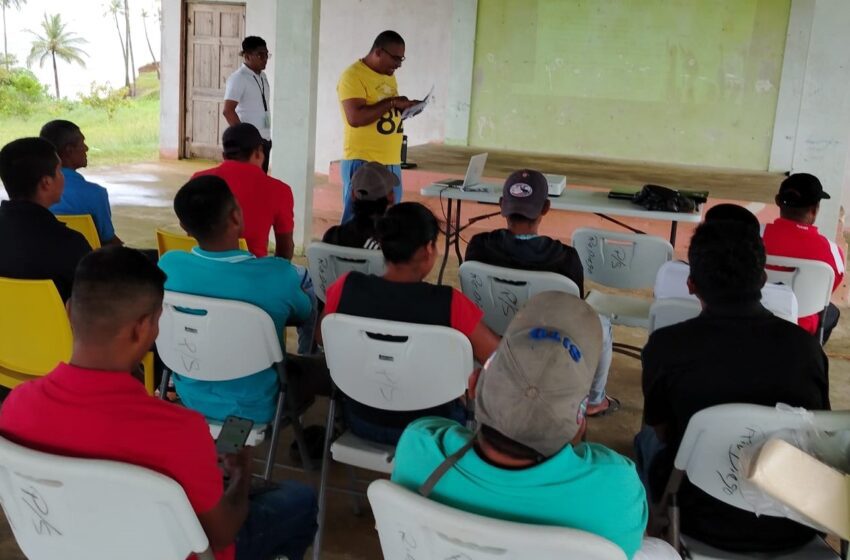 Productores de coco de Donoso avanzan hacia la conformación de su primera cooperativa