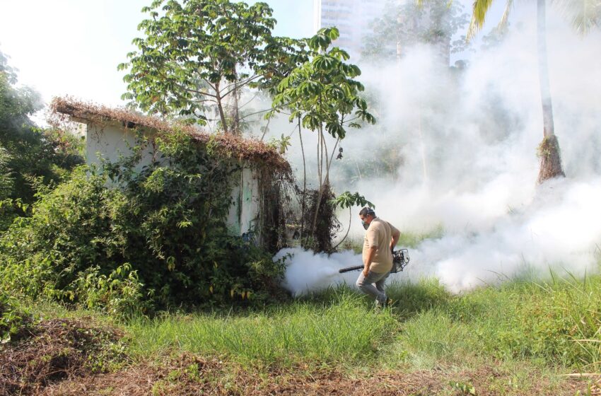 San Miguelito refuerza acciones contra el dengue