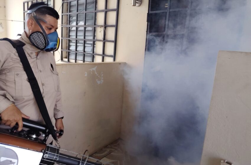 En Chiriquí: Minsa refuerza acciones contra el dengue