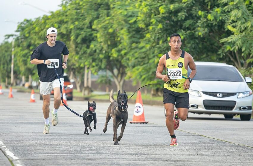 Con gran éxito, la Carrera-Caminata Donatón 2025 recauda fondos para esterilización de mascotas